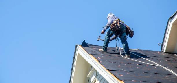 Best Residential Roof Replacement  in USA